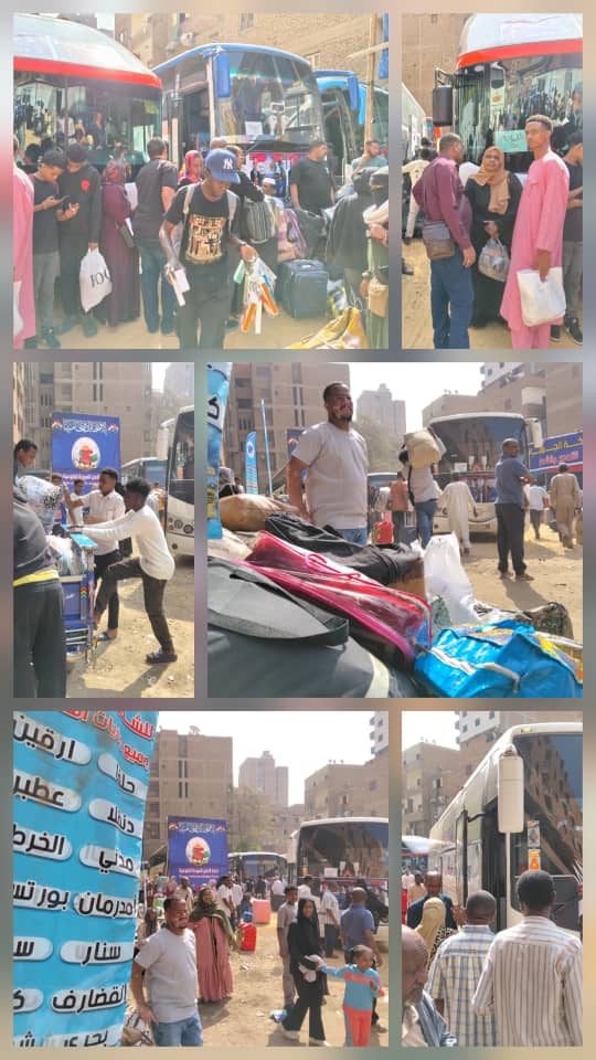 فى أكبر رحلة تفويجية..  تسيير ثلاثة وثلاثين رحلة من القاهرة والأسكندرية وأسوان