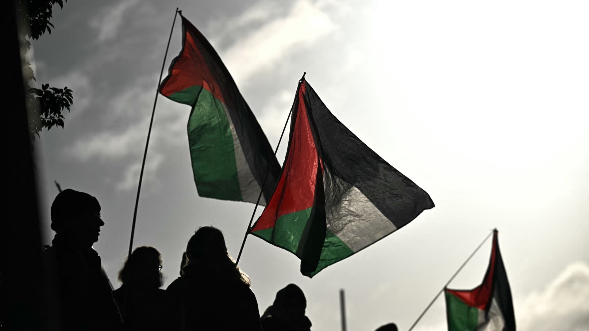 Palestine Action defendants drop lawyers and selfrepresent due to decisions made by the court