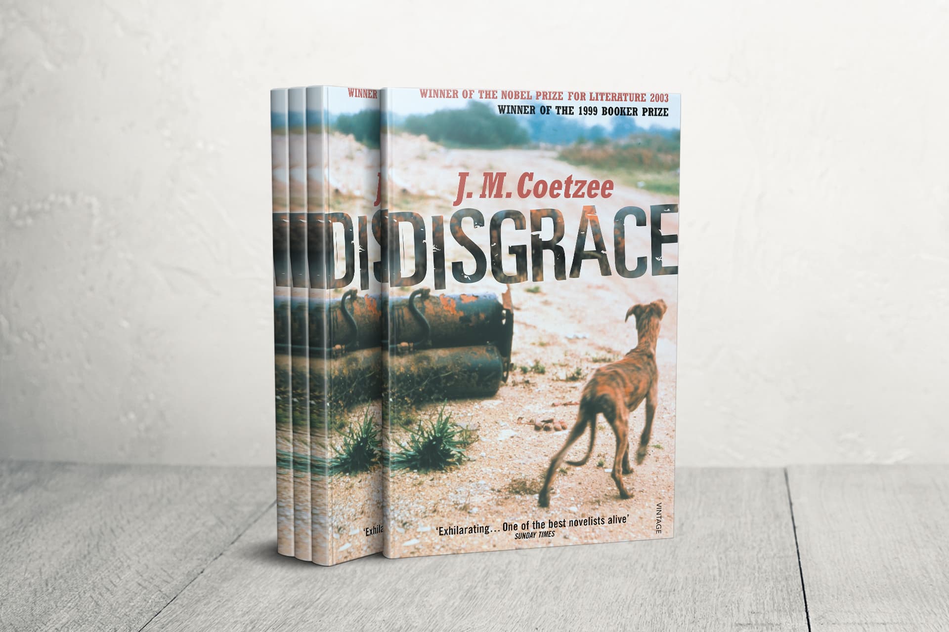 رواية العار.. تساؤلات الذات والهوية في جنوب أفريقيا ما بعد الفصل العنصري