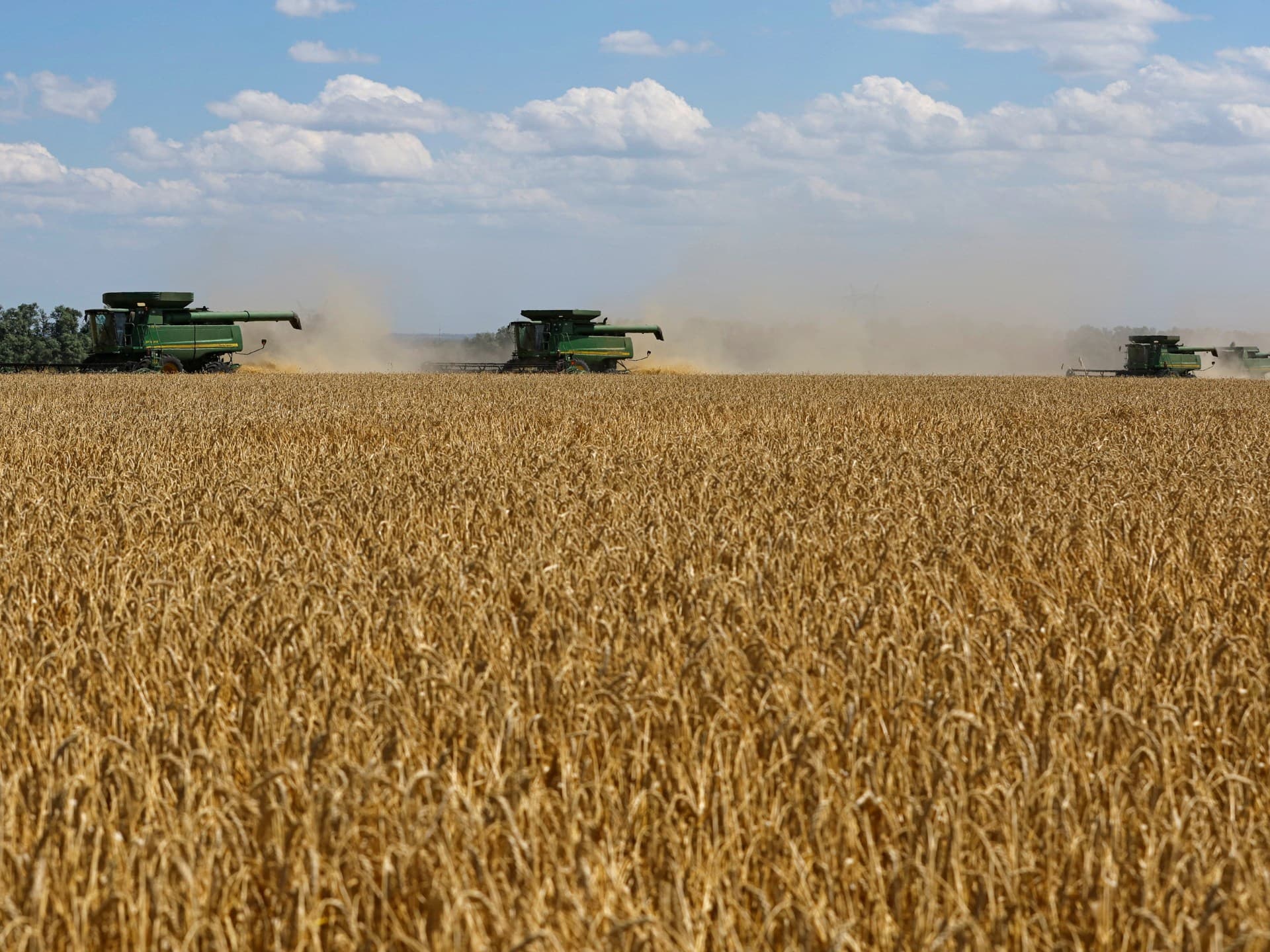 بوتين للغرب.. القمح الروسي هو النفط الجديد والأسمدة هي الغاز