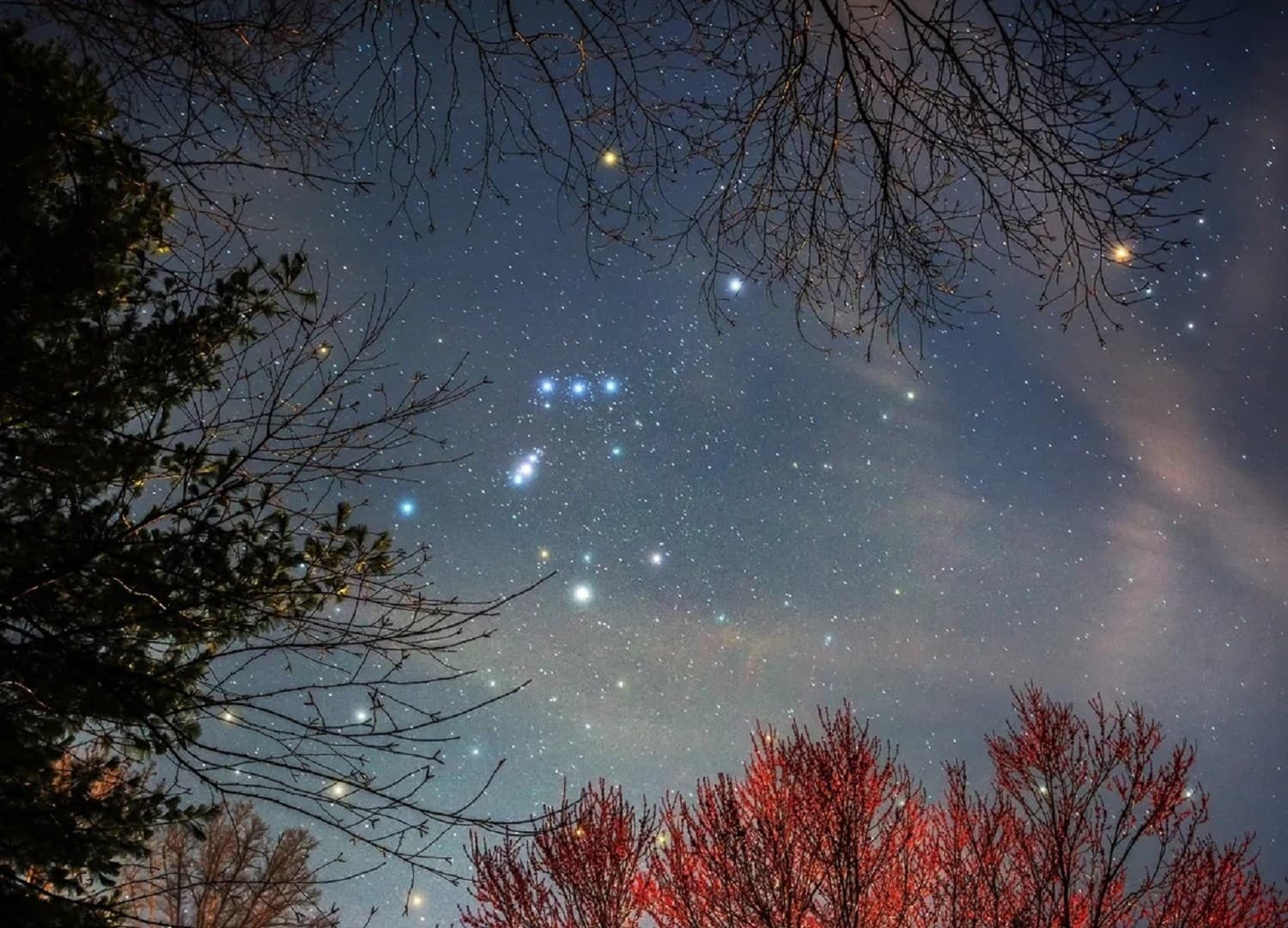 لماذا تهجرنا النجوم في فصول وتلازمنا في أخرى