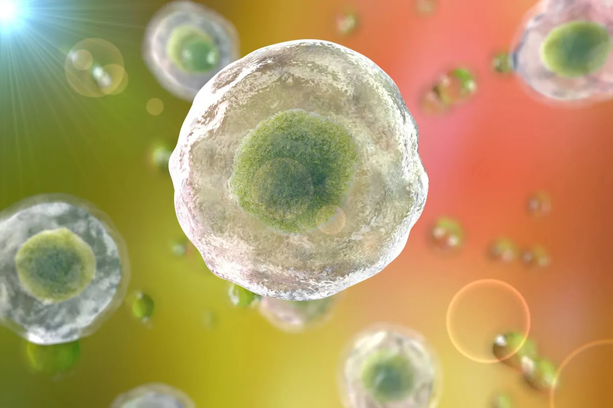 هل توجد حياة بعد الموت على المستوى الخلوي