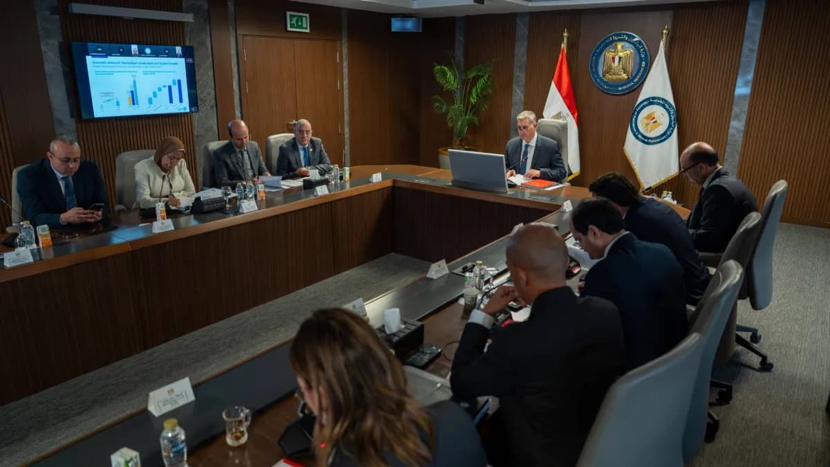ميثانكس الكندية تنتج 1.1 مليون طن من الميثانول في مصر خلال 2025