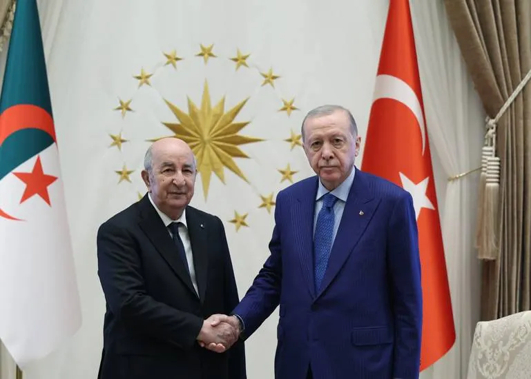 إردوغان وتبون ترأسا أول اجتماع لـمجلس التعاون الاستراتيجي بين تركيا والجزائر