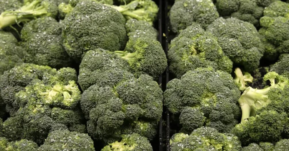 فوائد مذهلة للهرمونات جراء تناول البروكلي