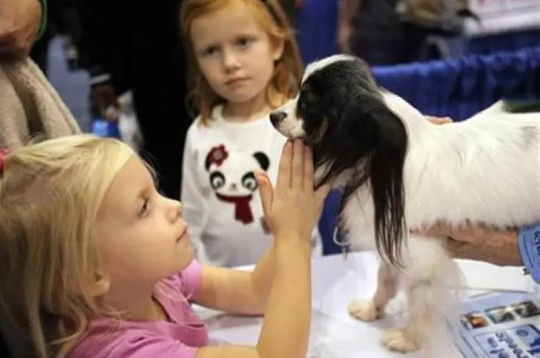 دراسة: الكلاب تغير ميكروبات الأمعاء بما يفيد الصحة النفسية