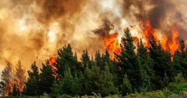 حرائق الغابات تهدد صحة الحوامل.. إجلاء 20 ألف شخص من غرب كندا