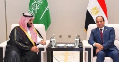 تأكيد مصرى سعودى على دعم سيادة واستقرار كافة الدول العربية
