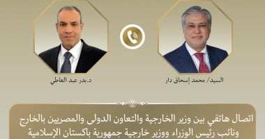 وزير الخارجية يبحث مع نظيره الباكستانى التطورات الإقليمية والجهود المشتركة
