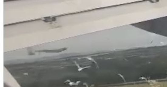 هبوط اضطرارى لطائرة بعد إقلاعها بسبب اصطدام بطائر فى بريطانيا.. فيديو