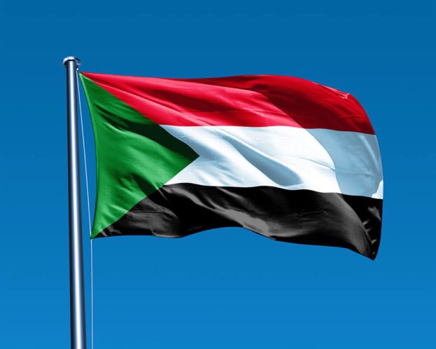 الجالية السودانية بجنيف تحتفل بالعيد وانتصارات القوات المسلحة020 الجالية السودانية بجنيف تحتفل بالعيد وانتصارات القوات المسلحة