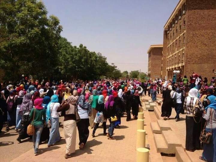 وزير التعليم العالي: عودة جامعة الأحفاد خطوة نحو استقرار العملية التعليمية