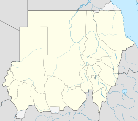 الخارجية الليبية تستنكر الزج بأبناء ليبيا في الصراع الدائر بالسودان020 الخارجية الليبية تستنكر الزج بأبناء ليبيا في الصراع الدائر بالسودان