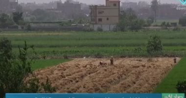 مركز المناخ: بداية أكتوبر مرحلة حاسمة لإدارة الانتقال من الصيف للخريف