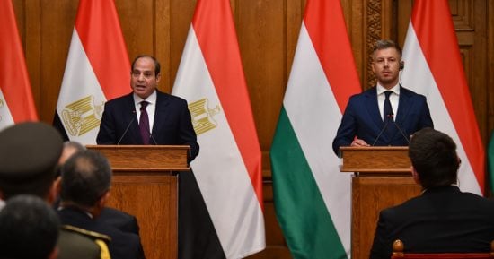 فخامة الرئيس السيسى: لا استقرار دون احترام سيادة الدول والالتزام بقواعد القانون الدولى