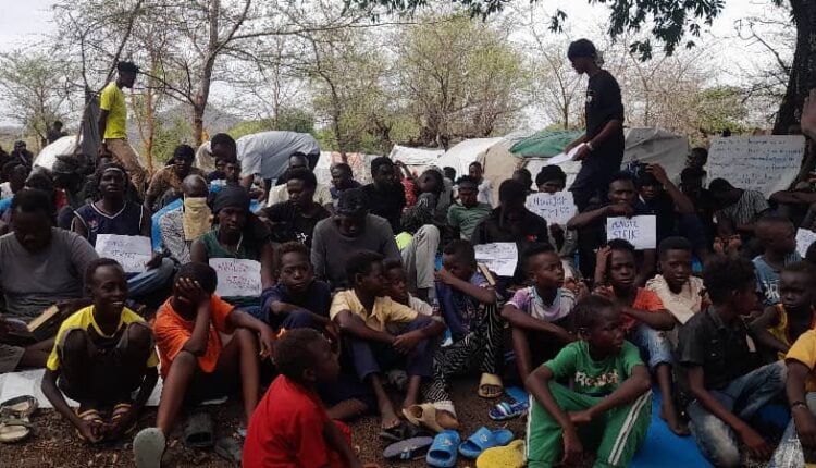 مصرع سودانيين جوعا بتشاد020 مصرع سودانيين جوعا بتشاد