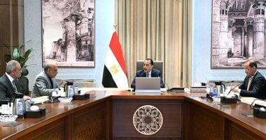 مدبولى يتابع إجراءات مدبولى يتابع إجراءات توفير التمويل المطلوب لمشروعات الطاقة الجديدة والمتجددة