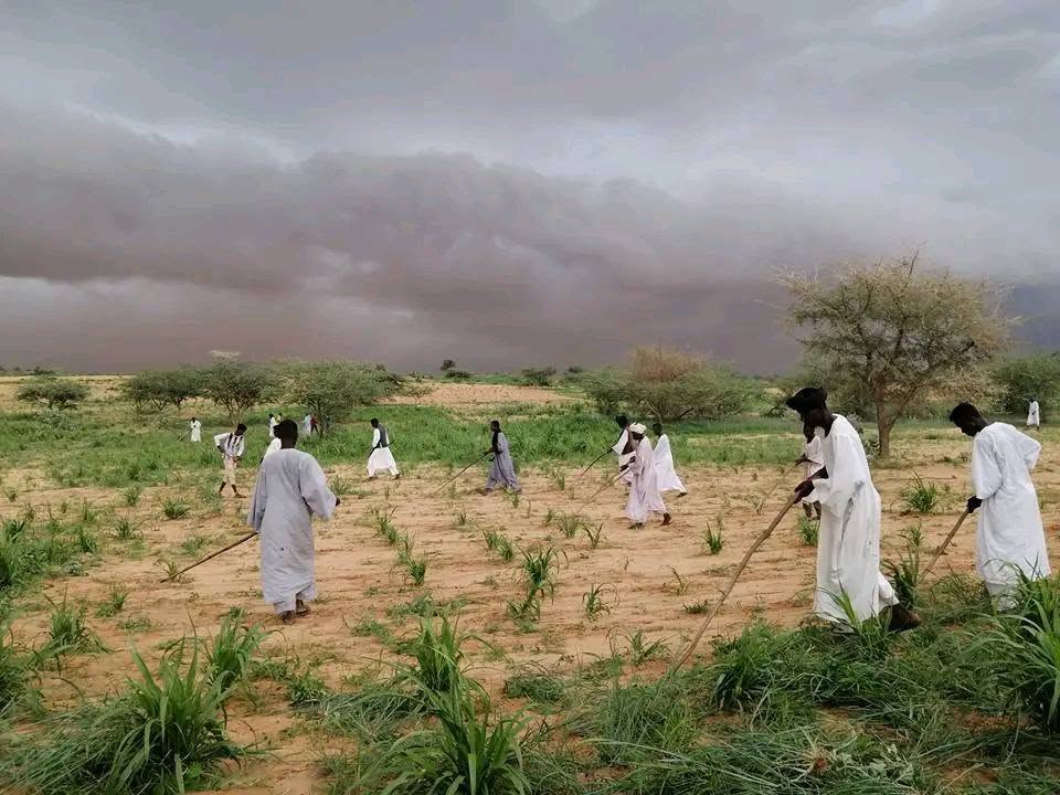 تدهور الموسم الزراعي يهدد مناطق بجنوب كردفان وسط تحديات تواجه التعليم