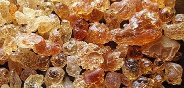 تقرير يكشف تفاصيل مثيرة عن تهريب الصمغ العربي والذهب والأسلحة في دارفور