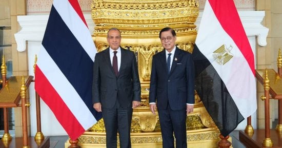 مصر وتايلاند تفتحان آفاقا جديدة للشراكة السياسية والاقتصادية