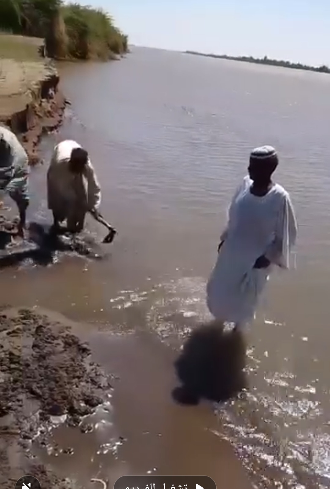 بالبحر .. شاهد مزارعون يتحدون الإمارات