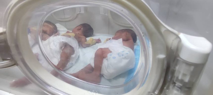 ولادة ٤ توائم بمستشفى القضارف التأهيلى للنساء والتوليد وتوجيه حكومى