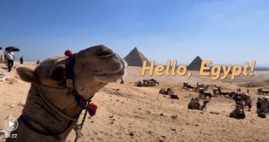 أهلا مصر.. وسائل إعلام صينية تحتفى بزيارة الرئيس شي للقاهرة .. فيديو