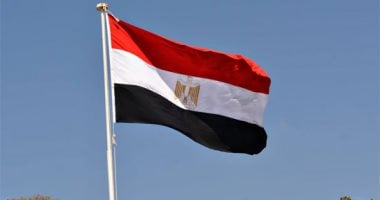مصر تدعو مواطنى الدول للالتزام بالقوانين والقواعد المنظمة لدخول أراضيها020 مصر تدعو مواطنى الدول للالتزام بالقوانين والقواعد المنظمة لدخول أراضيها