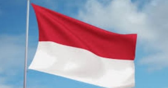 إندونيسيا وهولندا تستضيفان المؤتمر الوزارى للأمم المتحدة لحفظ السلام فى 2027
