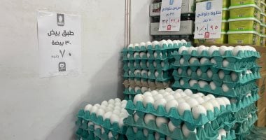 طرح كرتونة البيض بـ70 جنيها فى معرض أهلا مدارس بشارع فيصل