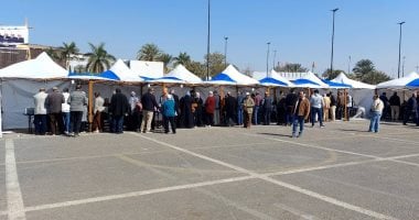 فتح باب التصويت بانتخابات جولة الإعادة على منصب نقيب المهندسين