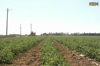 لجنة التخطيط العمراني ولاية الخرطوم تواصل استكمال قفل السجل الزراعي