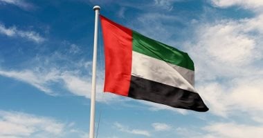الإمارات تدين استهداف سفينتين فى ميناء دمياط وتؤكد تضامنها الكامل مع مصر
