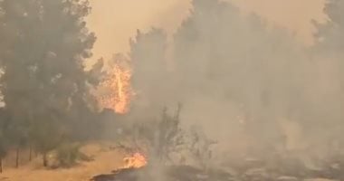 إسرائيل تحترق.. النيران تشتعل فى بيت شميش والمستوطنات بسبب حرارة الجو.. فيديو020 إسرائيل تحترق.. النيران تشتعل فى بيت شميش والمستوطنات بسبب حرارة الجو.. فيديو