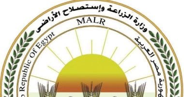 الزراعة ترد على فيديو زيادة وزن الموز: ادعاءات غير علمية تثير البلبلة