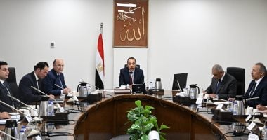 الحكومة: تحويل مصر إلى مركز إقليمى لصناعة الكتان بحلول عام 2030