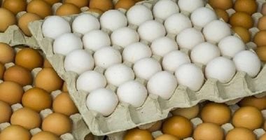 محكمة سويدية تدين أما كسرت بيضة على جبين ابنتها فى فيديو تيك توك020 محكمة سويدية تدين أما كسرت بيضة على جبين ابنتها فى فيديو تيك توك