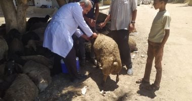 مقترح تأهيل الأطباء البيطريين للعمل فى الطب البشرى.. تعرف على القصة كاملة