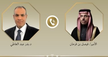 وزيرا خارجية مصر والسعودية يؤكدان أهمية ضمان أمن وسلامة وحرية الملاحة