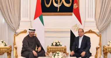 الرئيس السيسى والشيخ محمد بن زايد يبحثان مستجدان الشرق الأوسط وجهود تجنب التصعيد