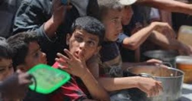 الخارجية الإيطالية: 15 شاحنة مساعدات دخلت قطاع غزة ببرنامج الأغذية العالمي020 الخارجية الإيطالية: 15 شاحنة مساعدات دخلت قطاع غزة ببرنامج الأغذية العالمي