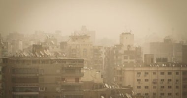 بعد تحذير الأرصاد.. أرقام الطوارئ بالجيزة للإبلاغ عن سقوط الأشجار وأعمدة الإنارة020 بعد تحذير الأرصاد.. أرقام الطوارئ بالجيزة للإبلاغ عن سقوط الأشجار وأعمدة الإنارة
