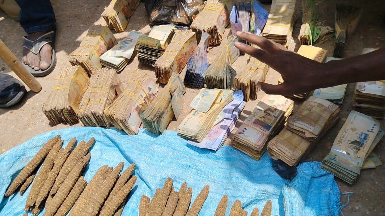 حملة أمنية واسعة النطاق بمحلية الدويم بالنيل الأبيض تستهدف إزالة الظواهر السالبة