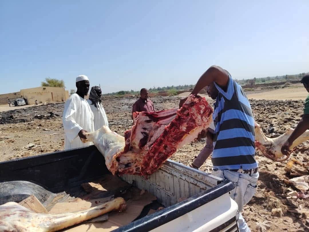 ضبط متهمين حاولوا توزيع لحم إبل ميت في الشمالية020 ضبط متهمين حاولوا توزيع لحم إبل ميت في الشمالية