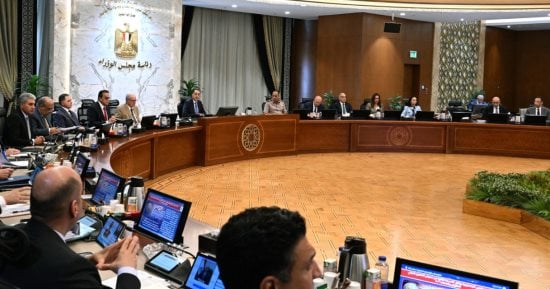 مدبولى: تكليفات للمحافظات بزيادة الرقعة الخضراء بها والتوسع فى زراعة الأشجار