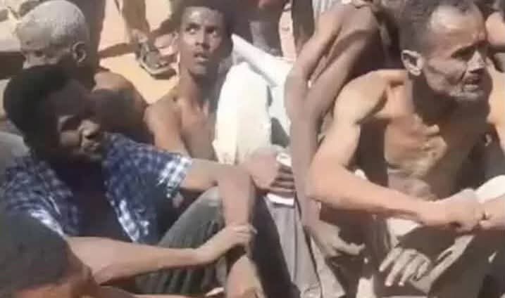 مطالبات بالتحقيق الدولي في مجزرة الصالحة بأمدرمان020 مطالبات بالتحقيق الدولي في مجزرة الصالحة بأمدرمان
