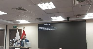 هيئة التأمينات: إتاحة خدمات السداد الإلكترونى لاشتراكات العاملين بالخارج