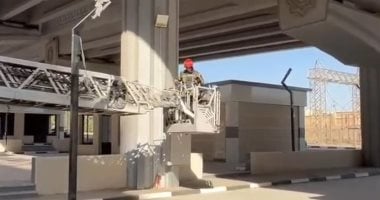 إنقاذ قطة محتجزة أعلى عامود بكوبرى فى المعادى.. صور وفيديو