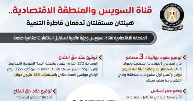 مجلس الوزراء: قناة السويس والمنطقة الاقتصادية هيئتان مستقلتان020 مجلس الوزراء: قناة السويس والمنطقة الاقتصادية هيئتان مستقلتان