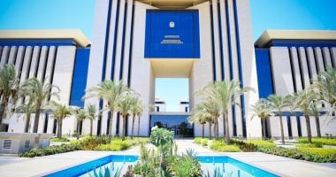 مصر تعرب عن تضامنها مع الجزائر الشقيقة فى مواجهة حرائق الغابات